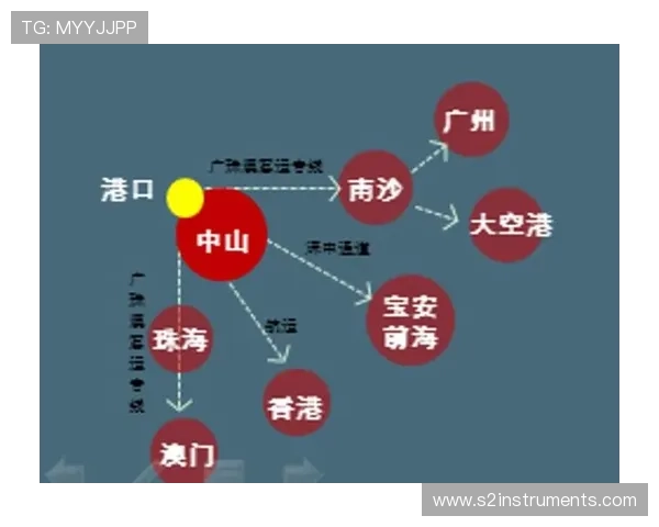 Z6会官方介绍未来发展战略与市场布局